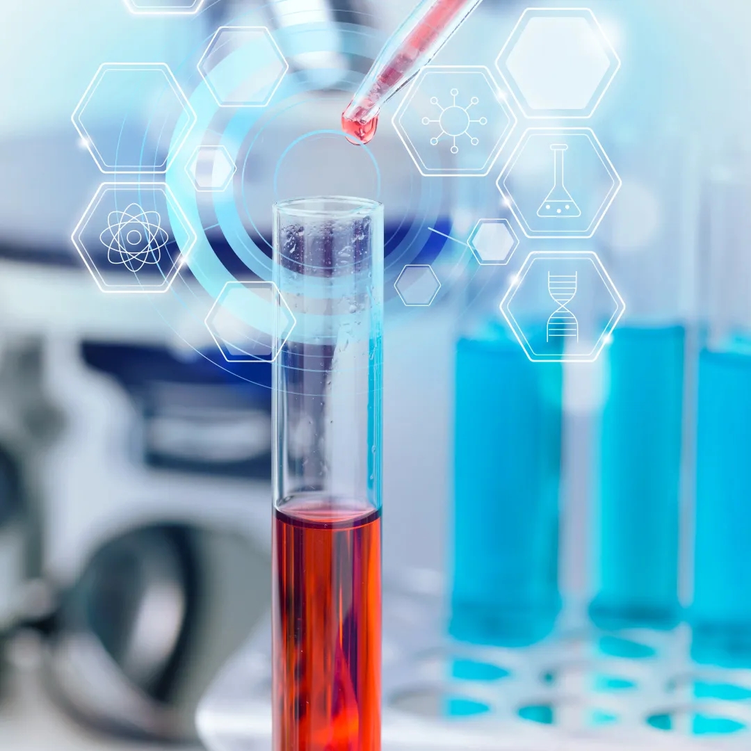 1763084352405453.jpg 1763084352405453.jpg